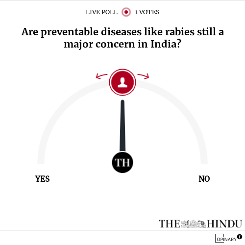 Are preventable diseases like rabies still a major concern in India?